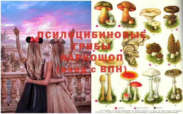 марки nbome Верея